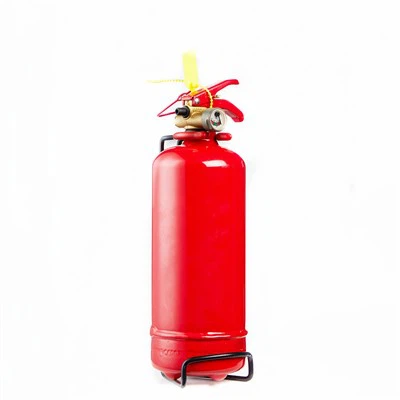 Lanier Fire Extinguisher